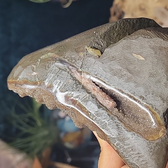 Amethyst Sugary & Botryoidal Brown Cutbase | From Brazil | 1.9lbs - Picture 10 of 12